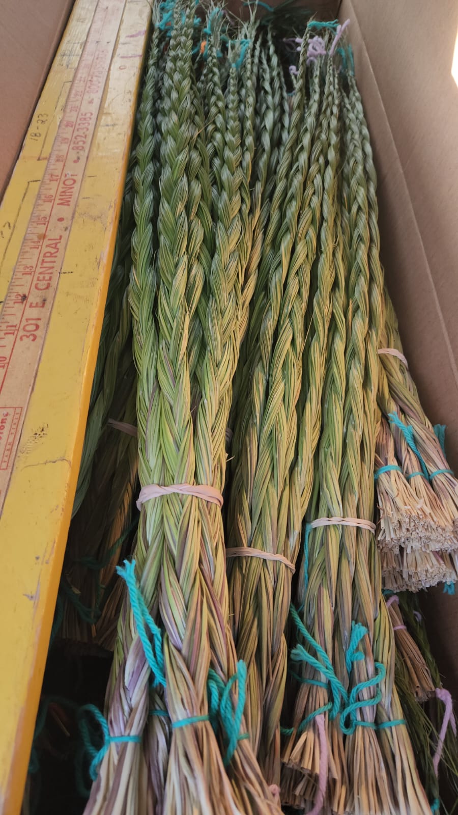 Ten Sweetgrass Braids