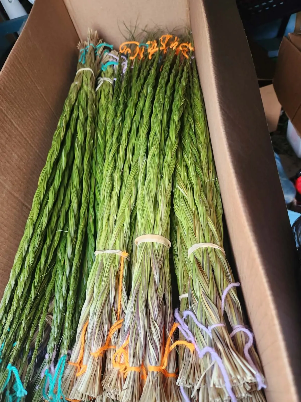 Individual Sweetgrass Braids