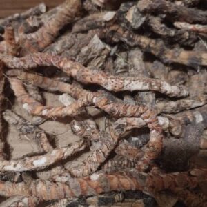 Alternative view of Roots